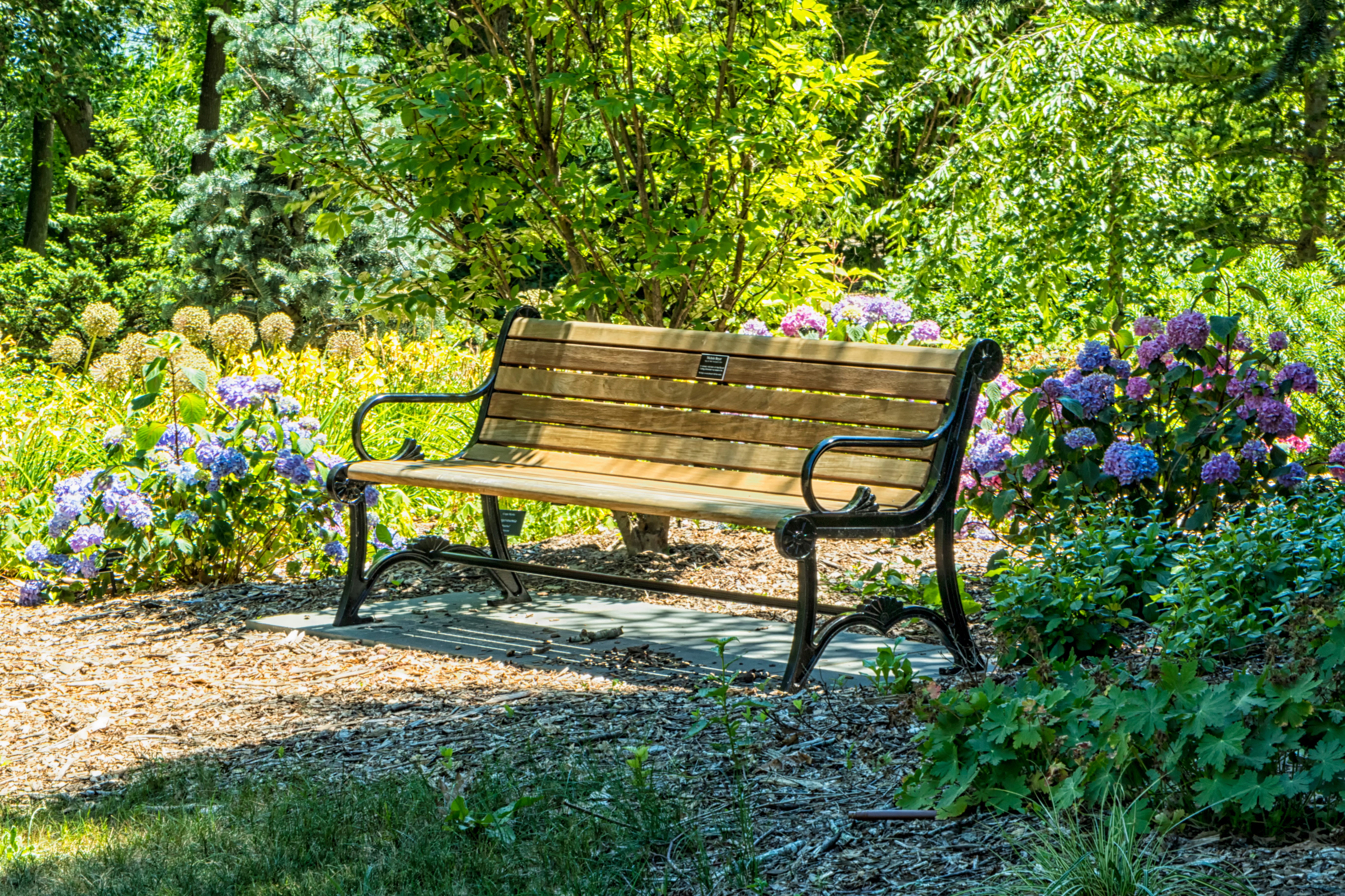 Grief And Another Way Of Seeing Noteworthy The Journal Blog