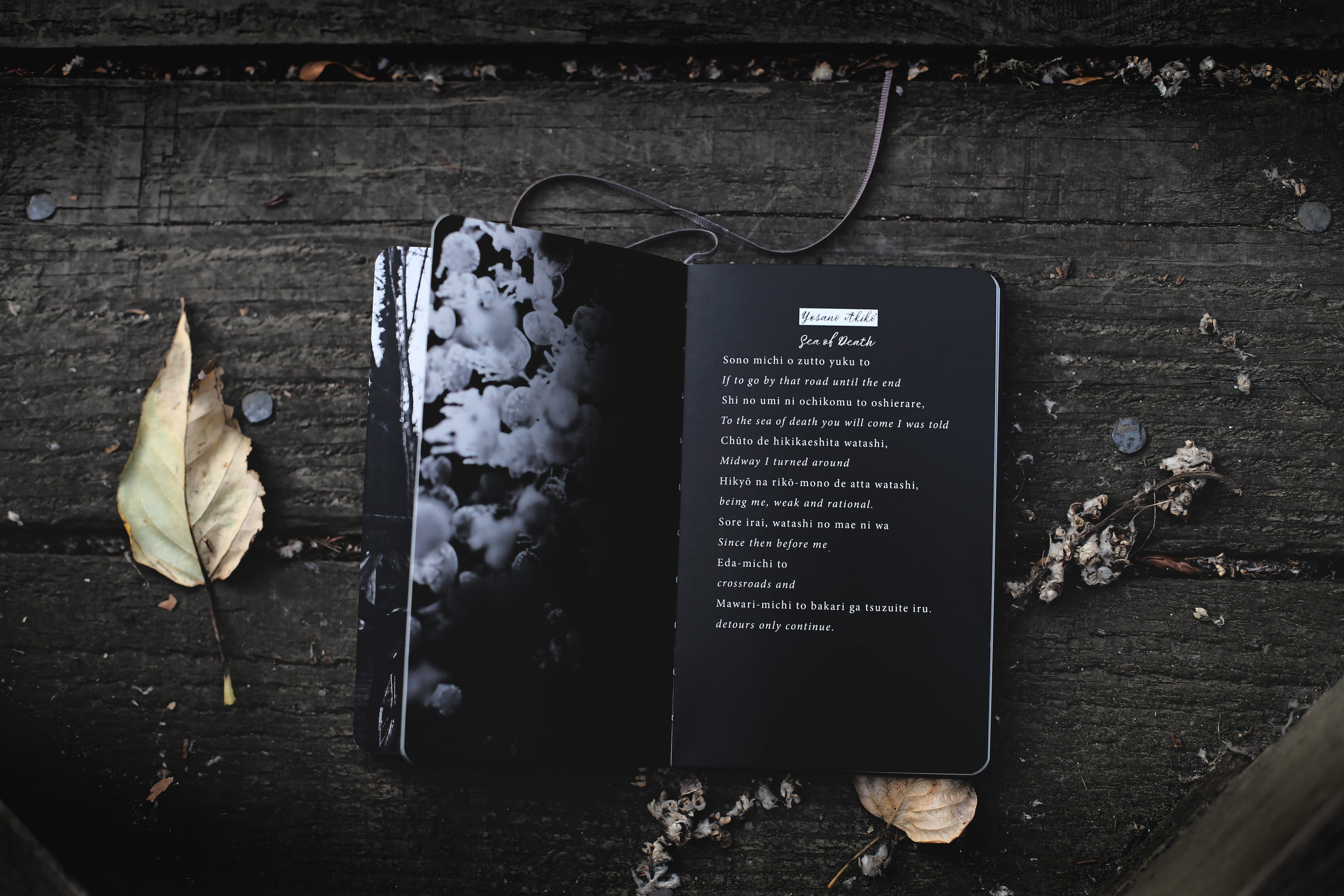 poetry images