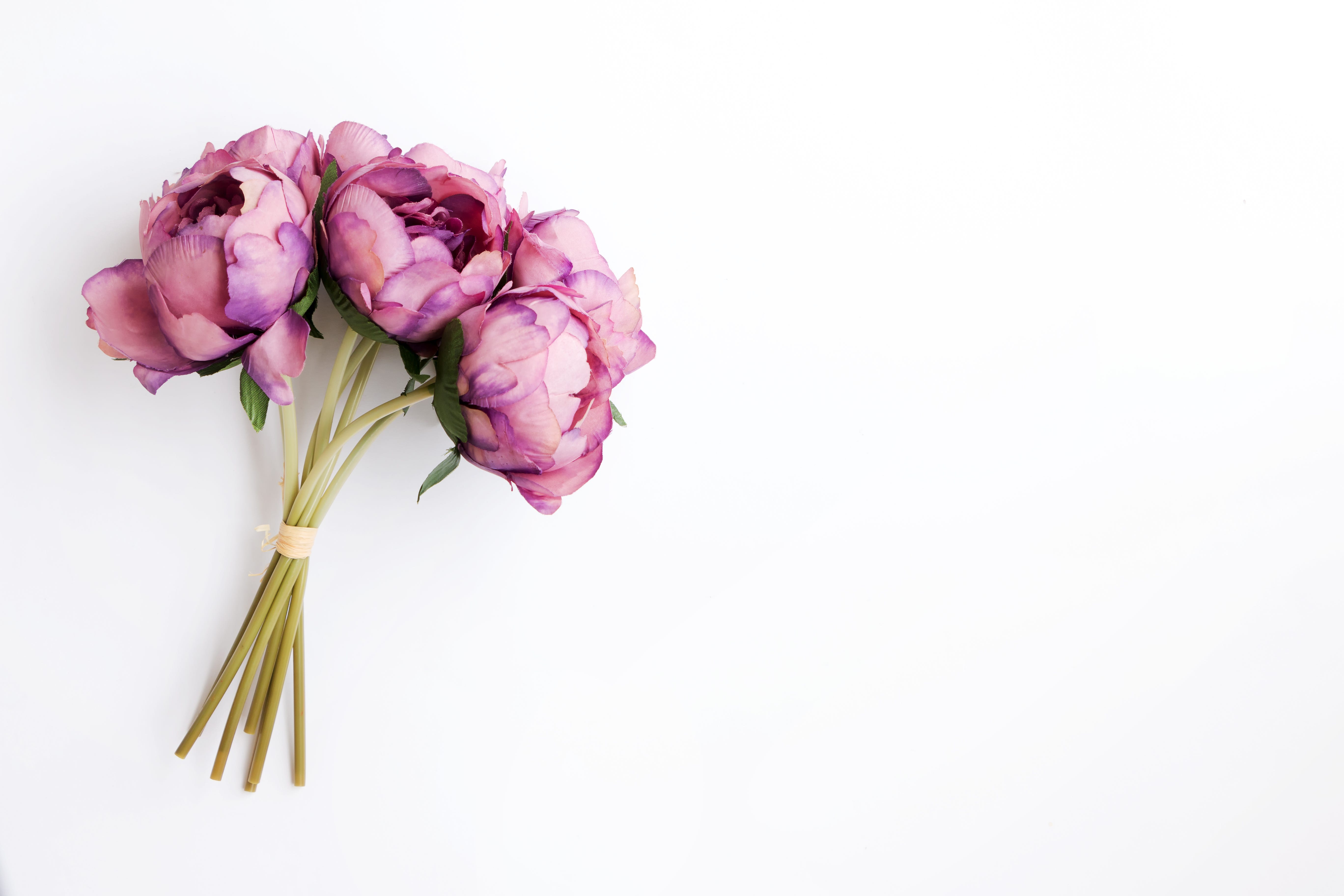 Can I Send Flowers on Mother's Day? | by Yasmin Tayag | Elemental