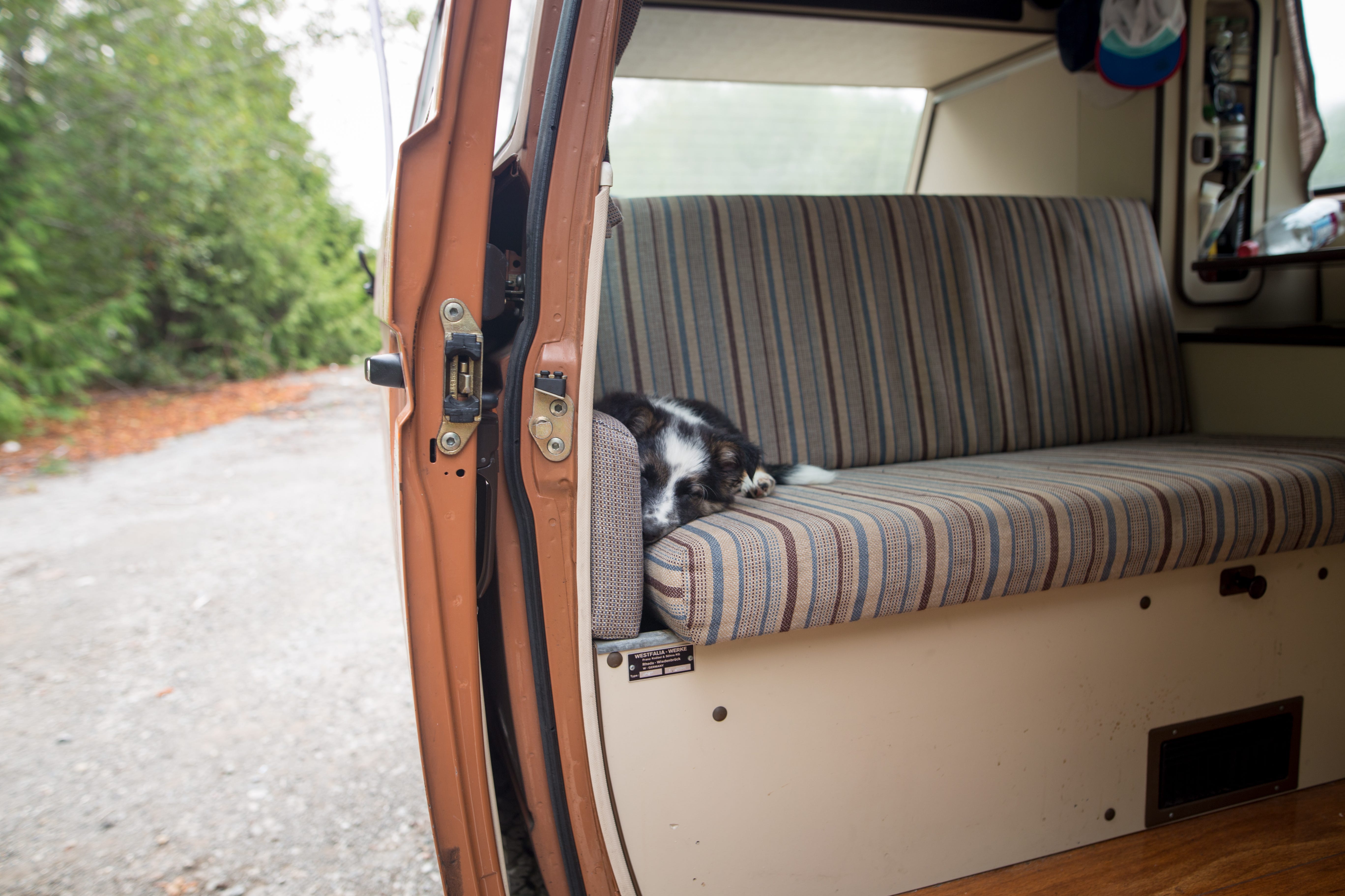 Thoughts From The Road The First 1000 Miles Jeff Wang Medium