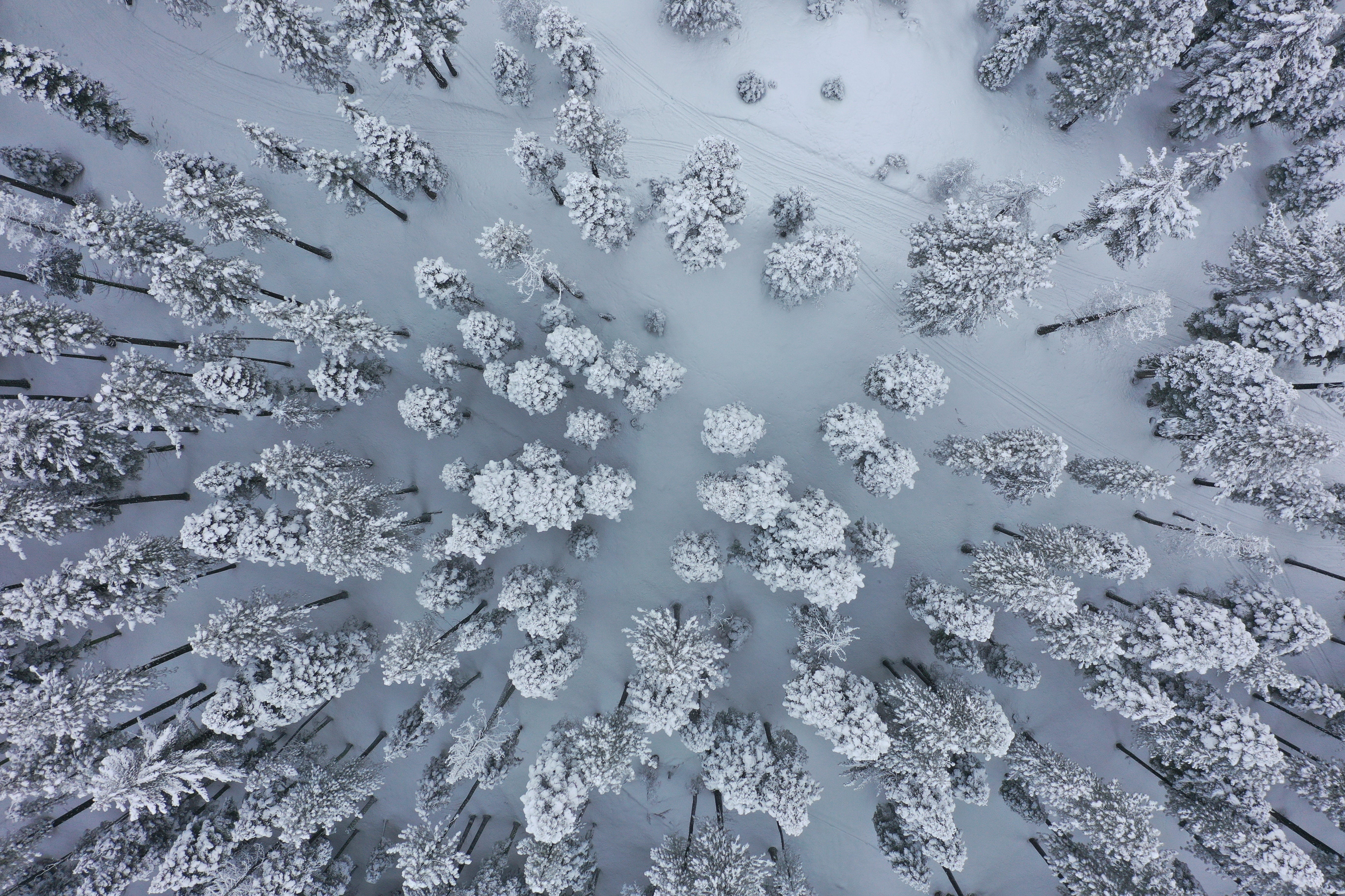 Snowflake Deployment Options Key Factors By David Oyegoke Slalom 