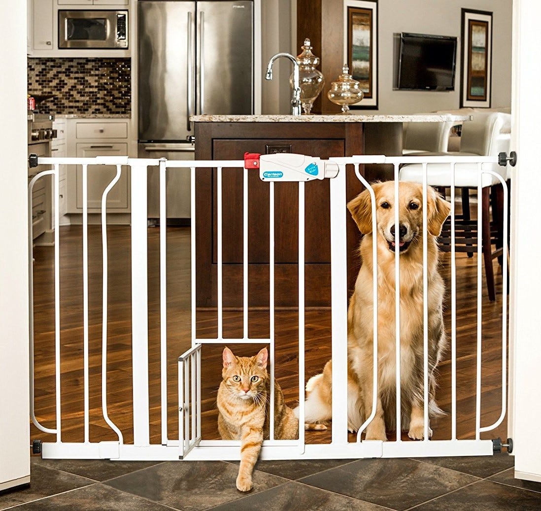 walk through gate with cat door