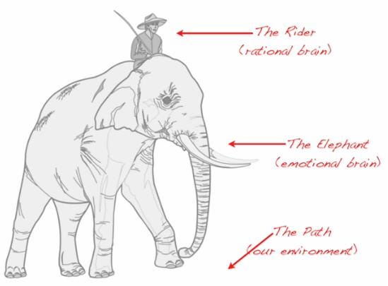 Elephant The Rider Key Insights In Creating A Change Once By Sasha Eslami Medium