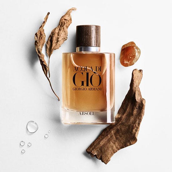 Acqua di gio absolu notes Clearance