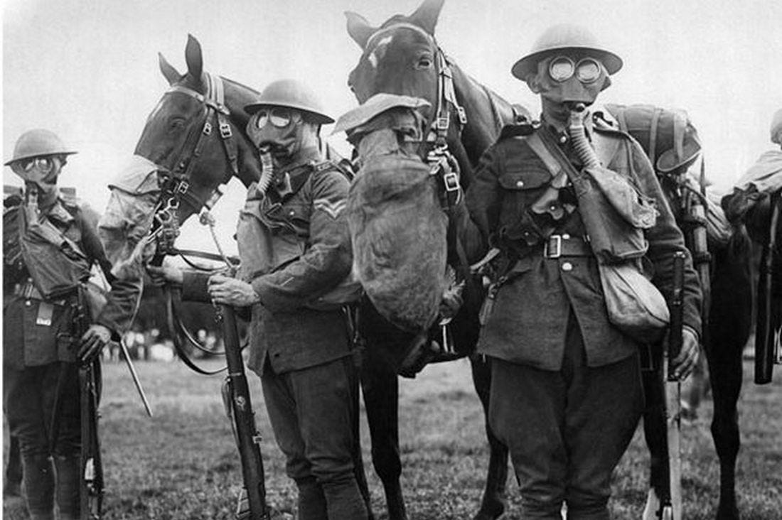 Even Animals Needed Gas Masks in World War I | by War Is Boring | War Is  Boring | Medium