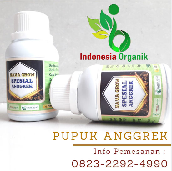 Melimpah 0823 2292 4990 Agen Pupuk Anggrek Vanda Lampung