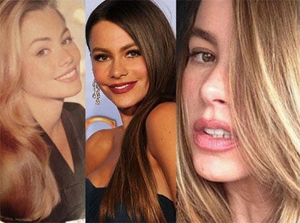 Blonde S Have All The Fun Not For Sofia Vergara L Ashley Medium