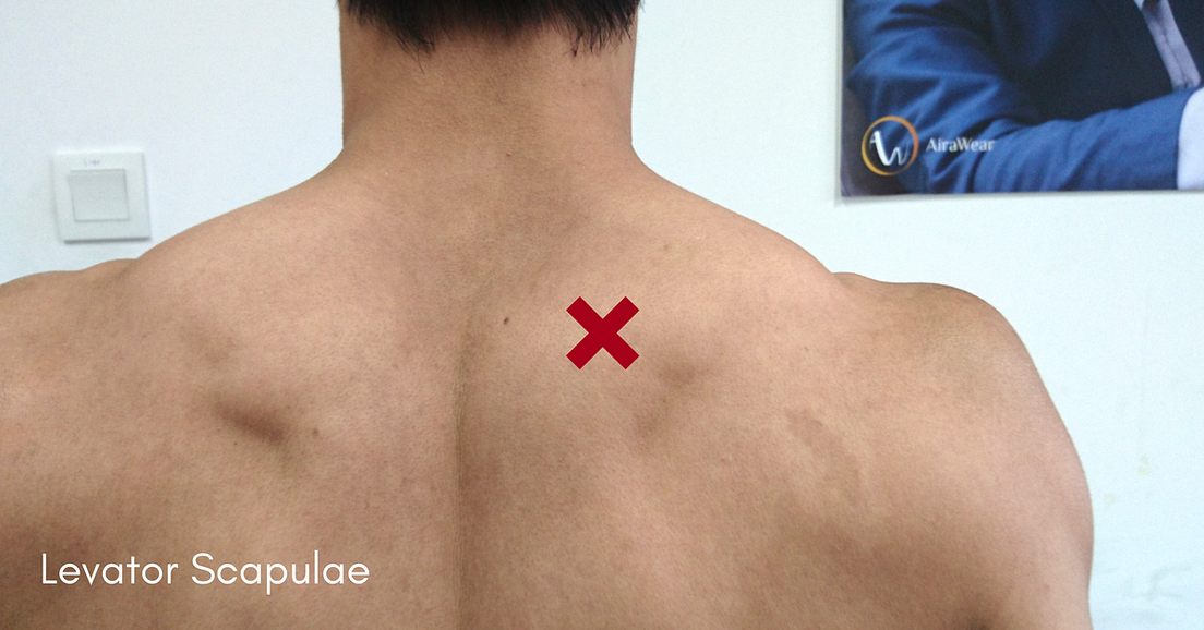 How To Identify Your Muscle Knots (And Where To Find Them) by AiraWear Medium