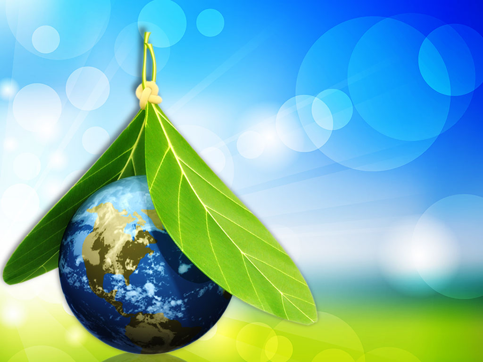 Environment Ppt Template Mr Templates Gambaran