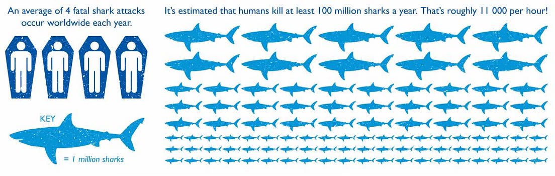 Why Sharks Are the Real Victims of the Deep Blue Sea | by Heeral Patel