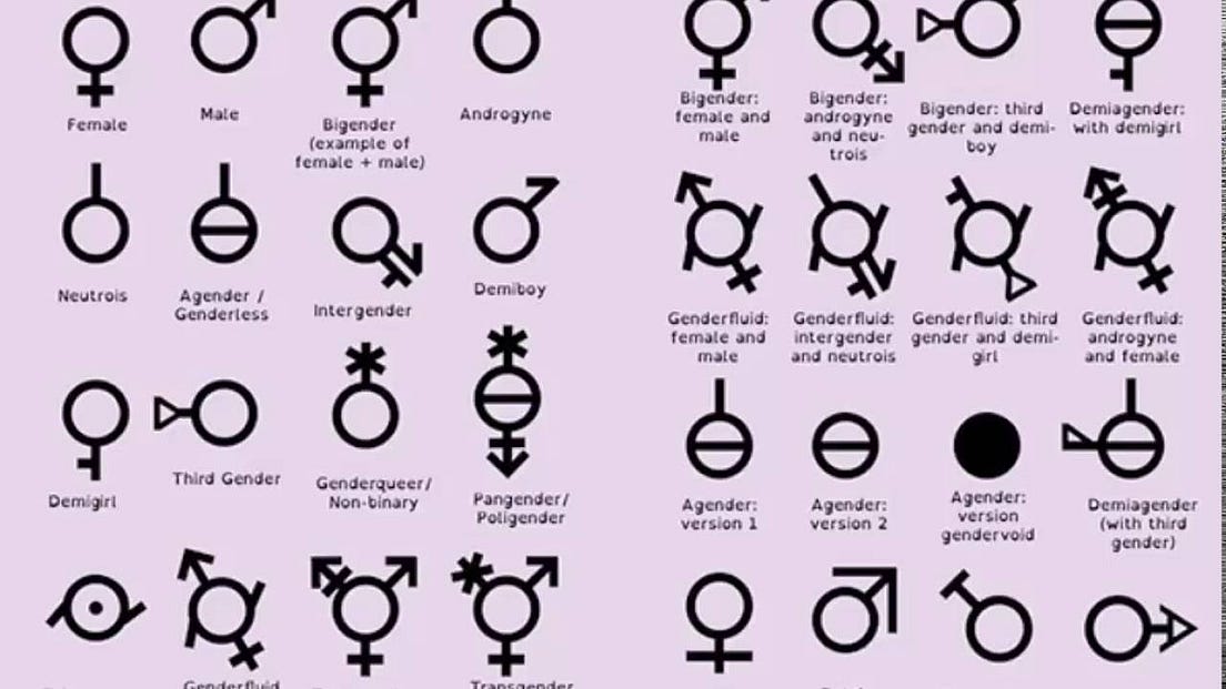 How Many Genders are There Anyway? by Daniel Goldman The Spiritual