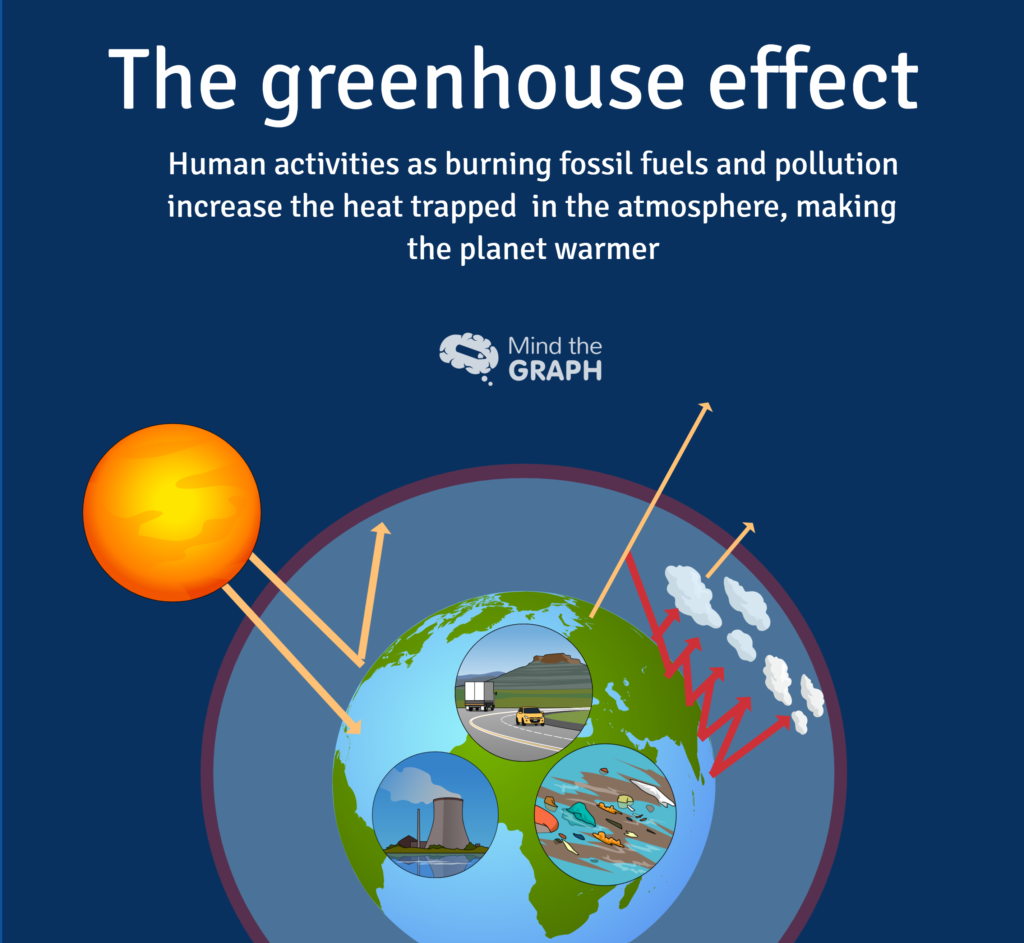 Carbon cycle and greenhouse effect — A scientific infographic by Mind