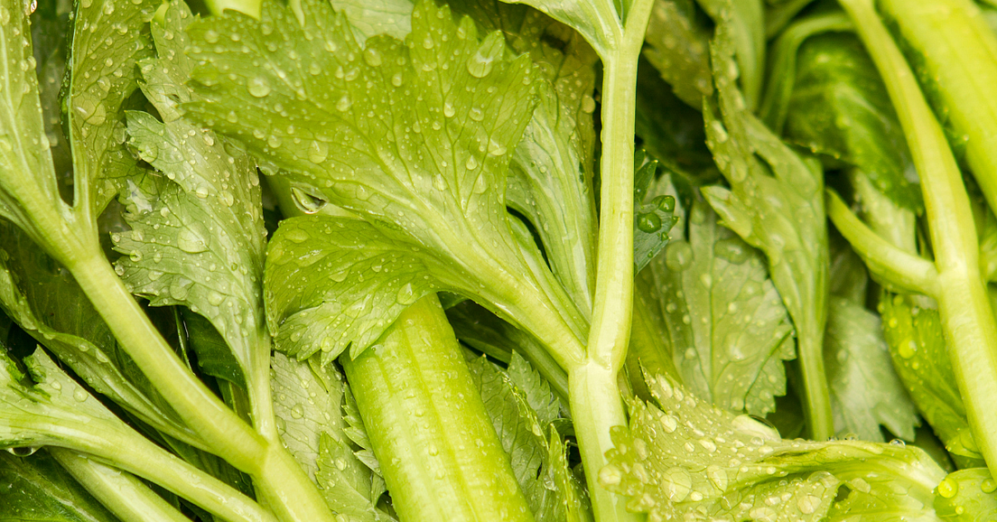 50 Most Common Names Of Vegetables In Vietnamese & How To Cook Them