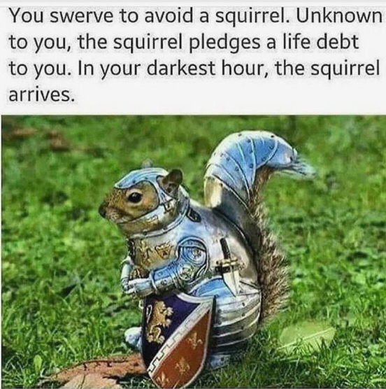 Squirrel Memes, and Other Ways to Get People to Care