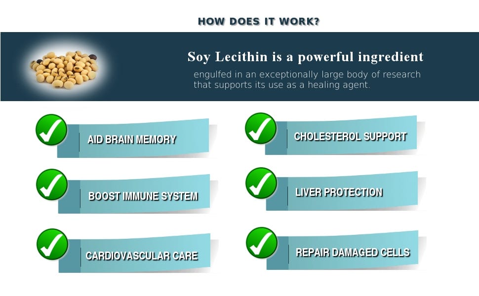Lecithin Supplements Essential Fatty Acids for Your Brain Health by Vita Activate Medium