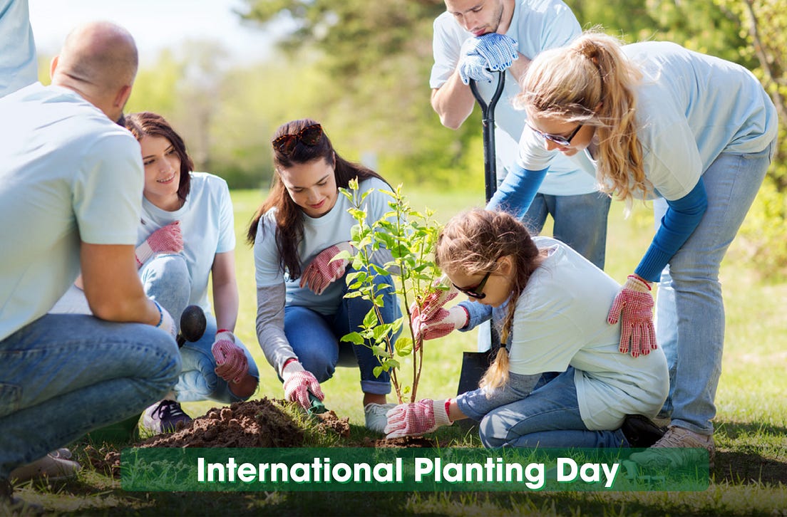 International Planting Day — Planting 110 million trees in 11 hours