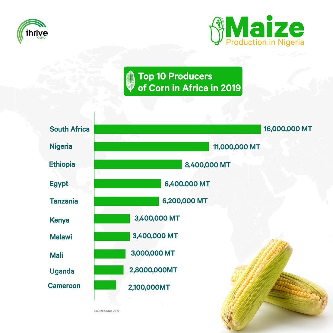 Here’s what Maize production looks like in Africa and Nigeria. by