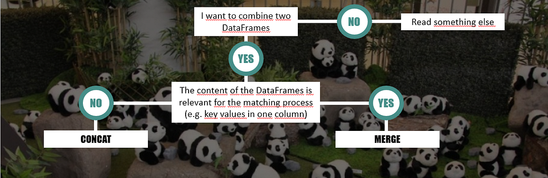 Worksheets for pandas merge dataframes columns