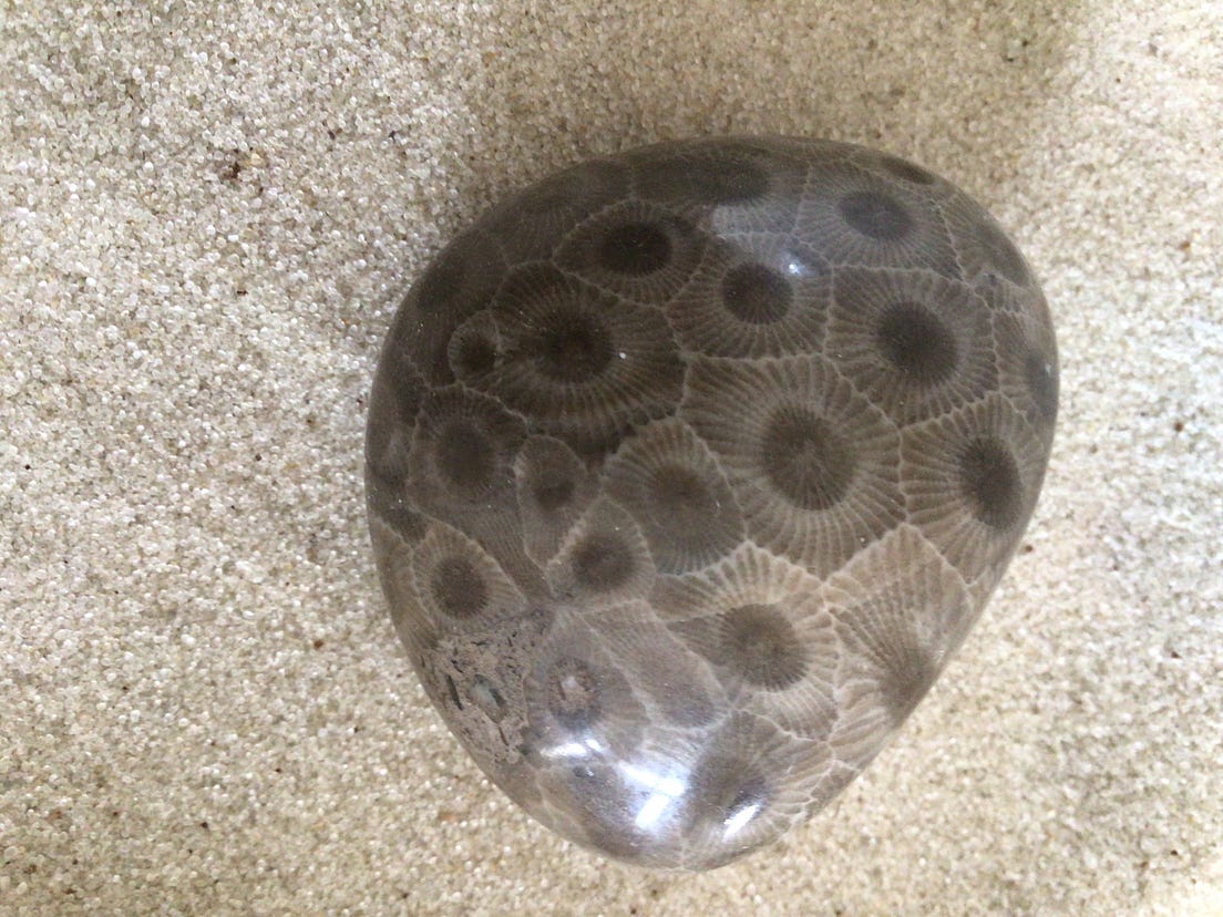 How to Polish Your Michigan Petoskey Stone by Tracy Stengel Medium