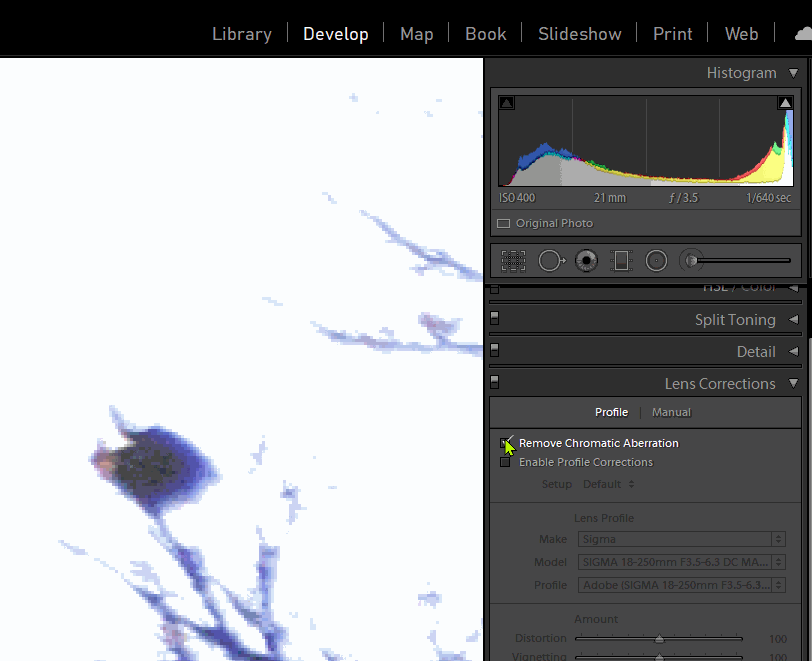 Chromatic Aberrations — Learn how to remove them from your images by