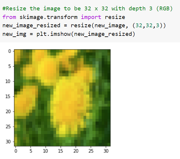 Classify Flower Images Using Machine Learning & Python | by ...