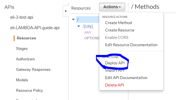 “Build an API Gateway API with Custom Lambda Integration”: | by Eli