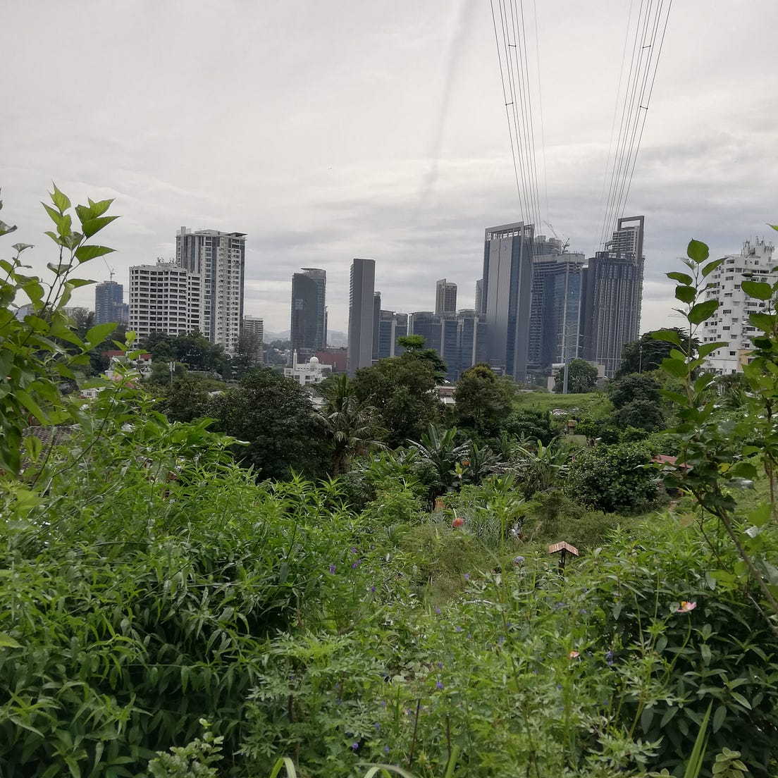 KebunKebun, Bangsar @ Kuala Lumpur, Malaysia  by Ching Ching  Show