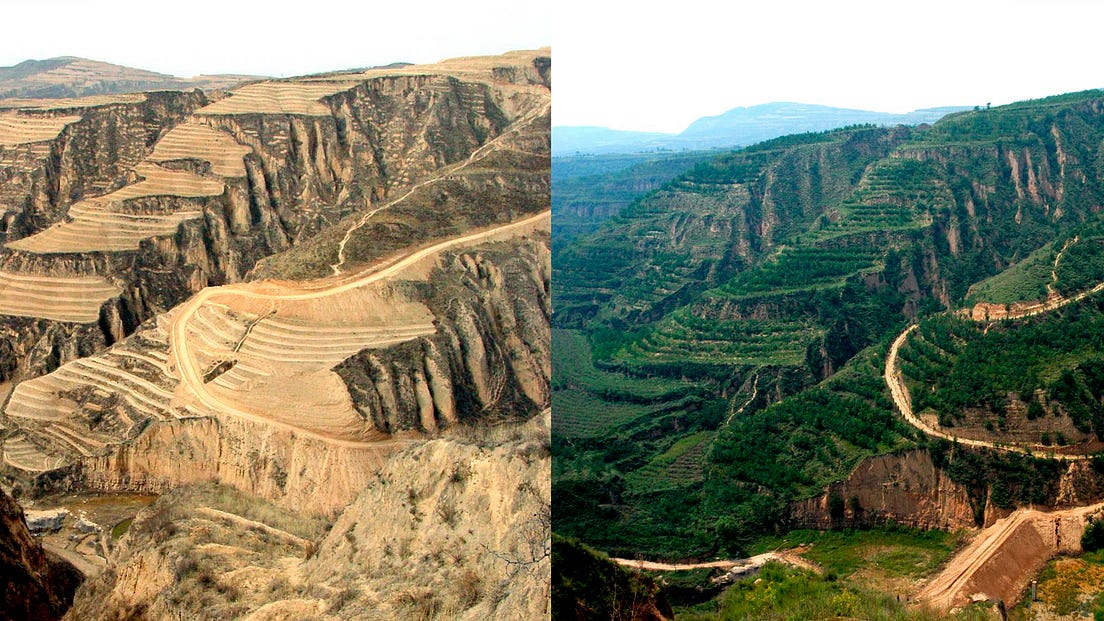 Lessons Of The Loess Plateau