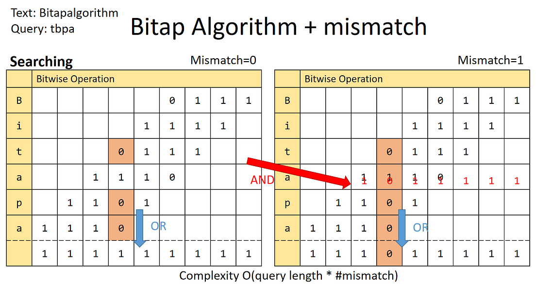 Read Mapping 概念與演算法. 最近在讀 read-mapping 的 paper 順便就寫寫 | by linnil1 | Medium