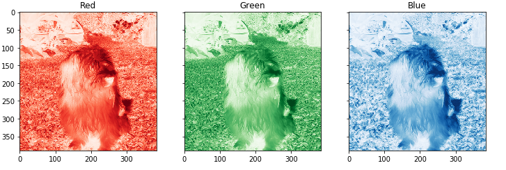 Introduction to Image Processing with Python — Image Representation for ...
