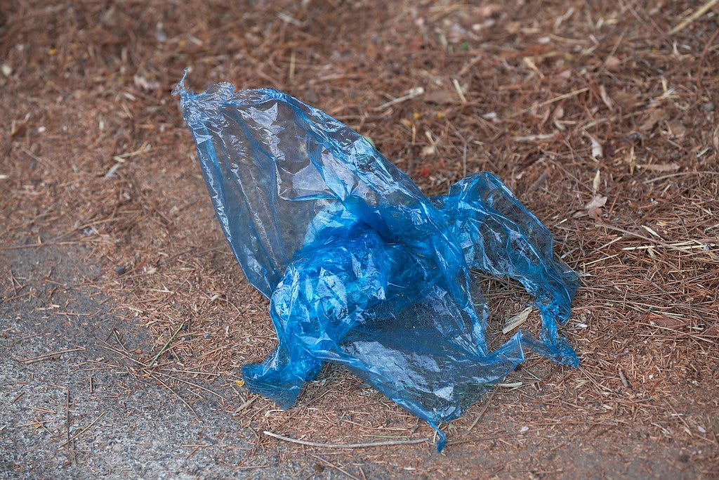 10 Ultimate Points on Disadvantages of Plastic Bags by catch