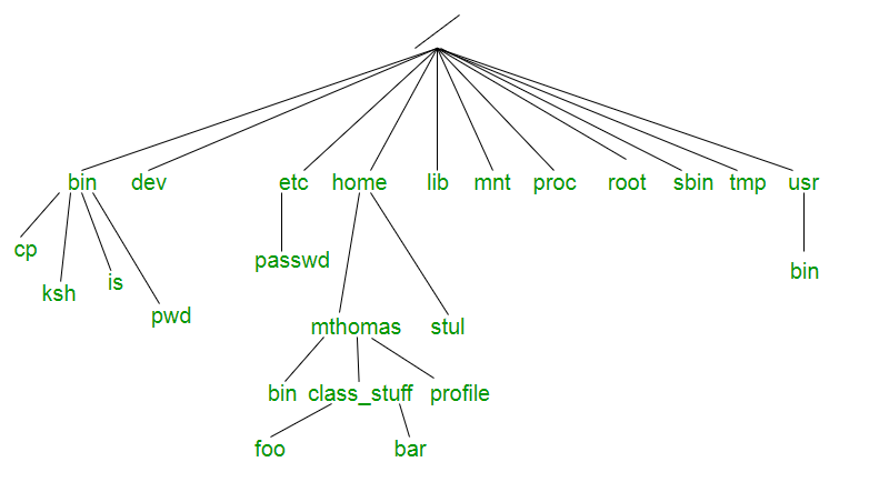 A Look at the Tree Data Structure in C++ | by Supriya Sirbi | Better ...