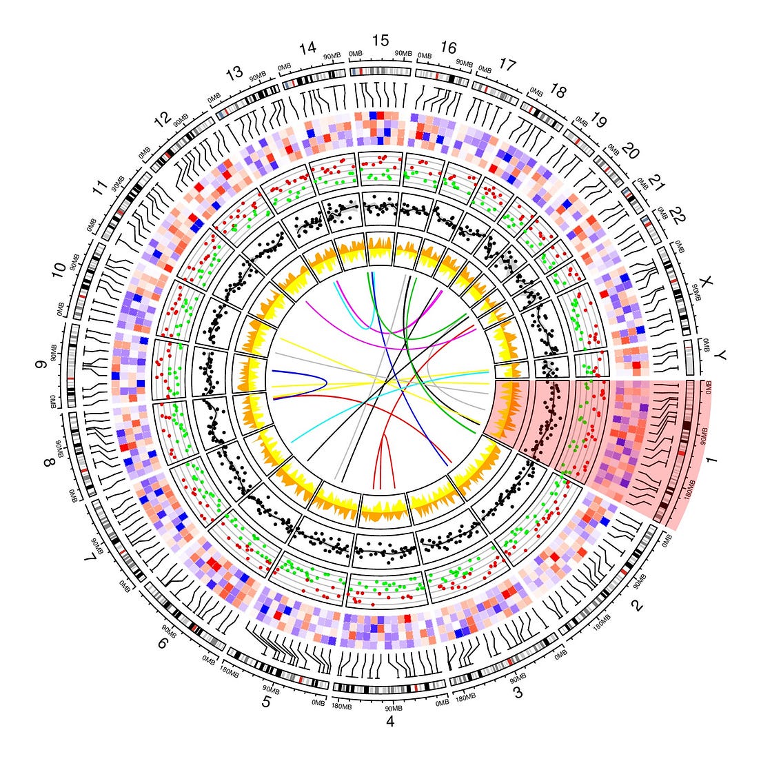 Making genomic data come alive with circos plots | by Maria Nattestad ...