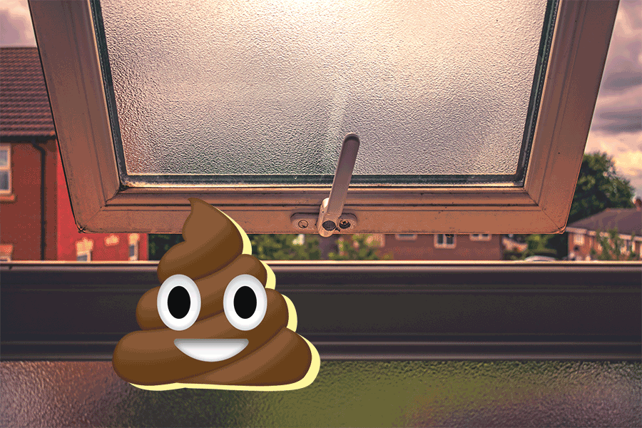 How to Poop on a First Date. What we all can learn from the poop… by