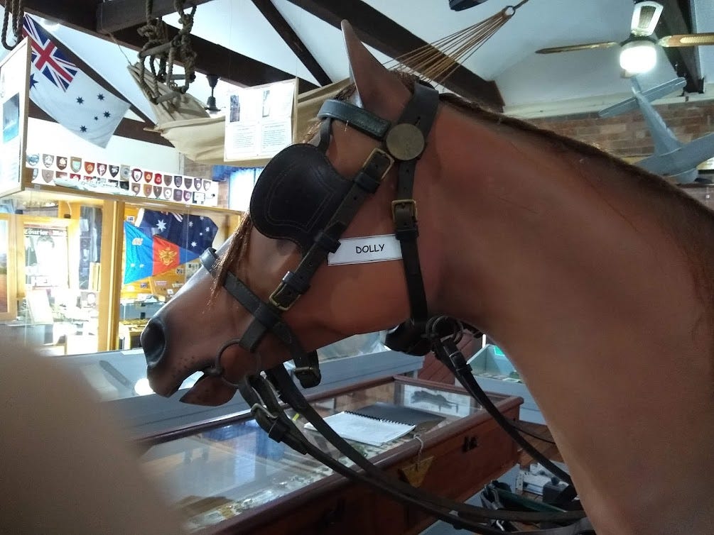 A horse called Dolly; 1950s history; True ILLUMINATION