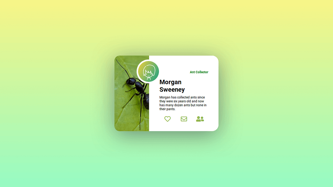 CSS Cards. Collection of free HTML and CSS card… | by freefrontend.com ...