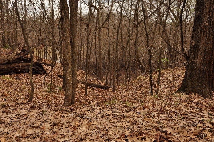 Trammel’s Trace The First Road to Texas from the North by Texas