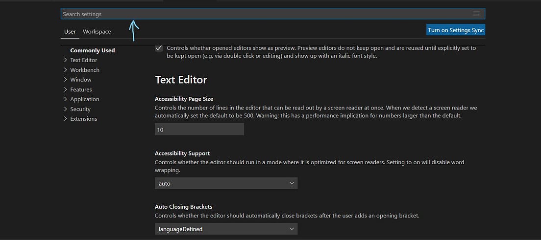 User Input Not Working In Visual Studio Code For C C solution 