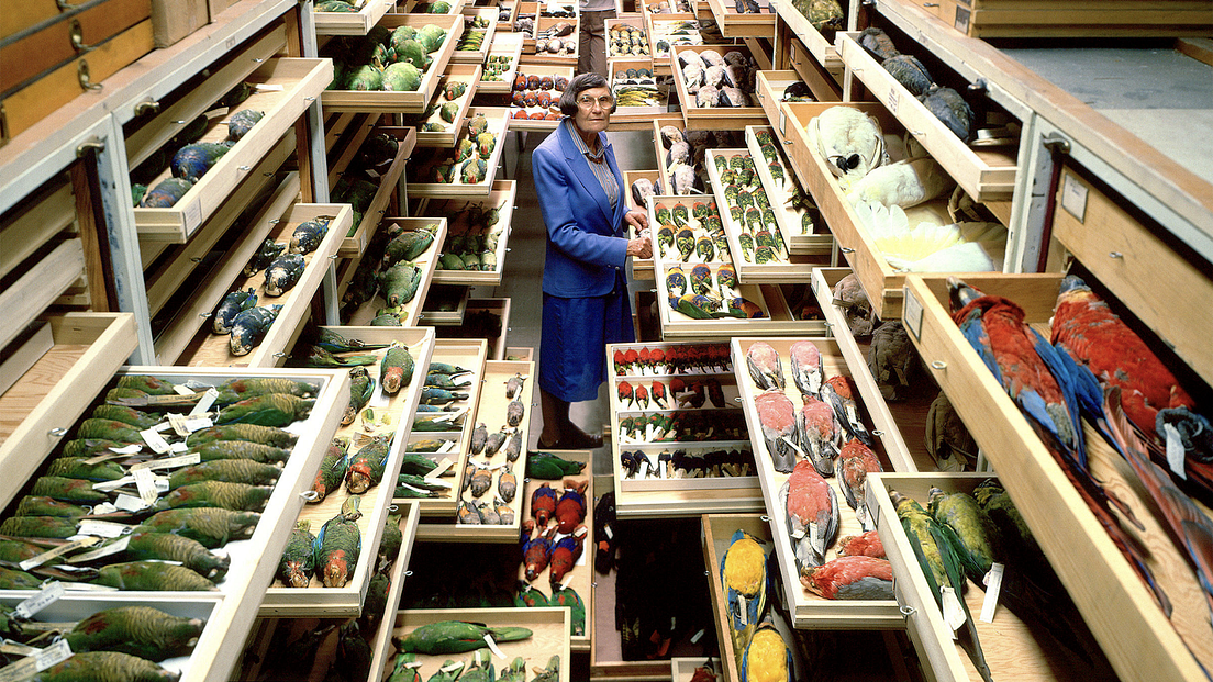 ‘Maintaining’ the Future of Museums | by Chad Weinard | Medium
