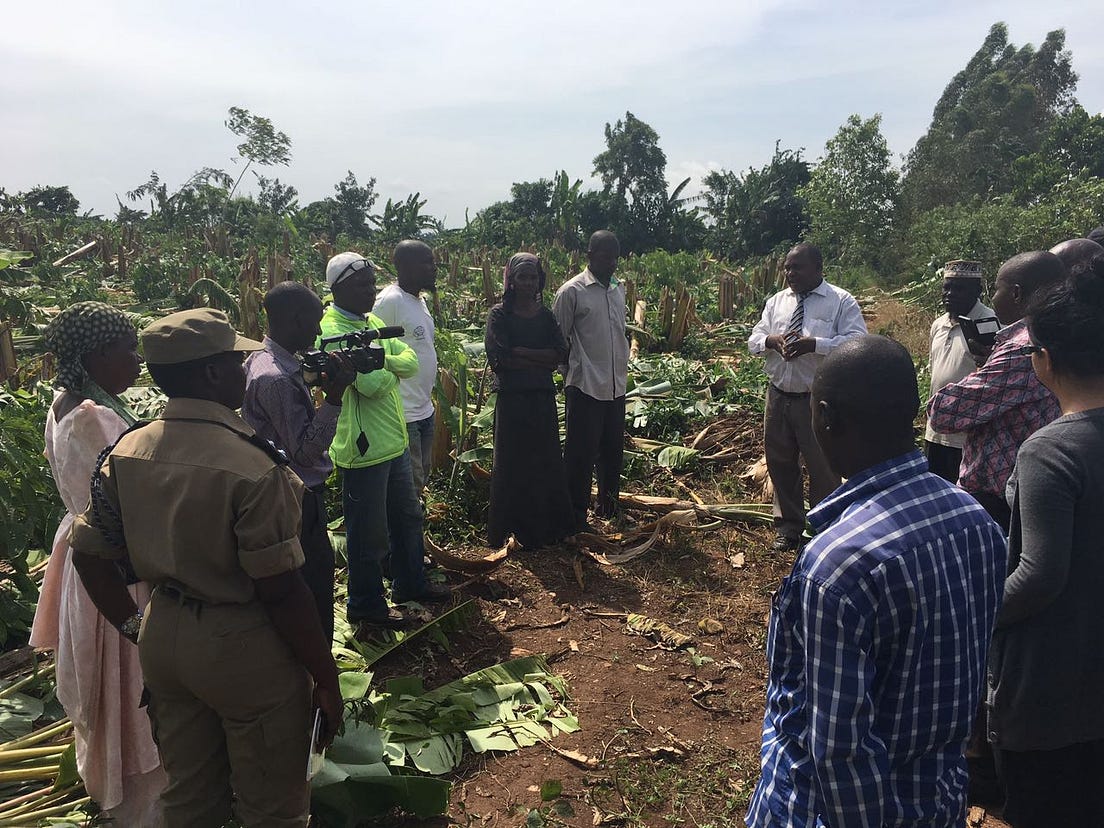 Land Corruption and Conflict in Uganda by Land Corruption Voices