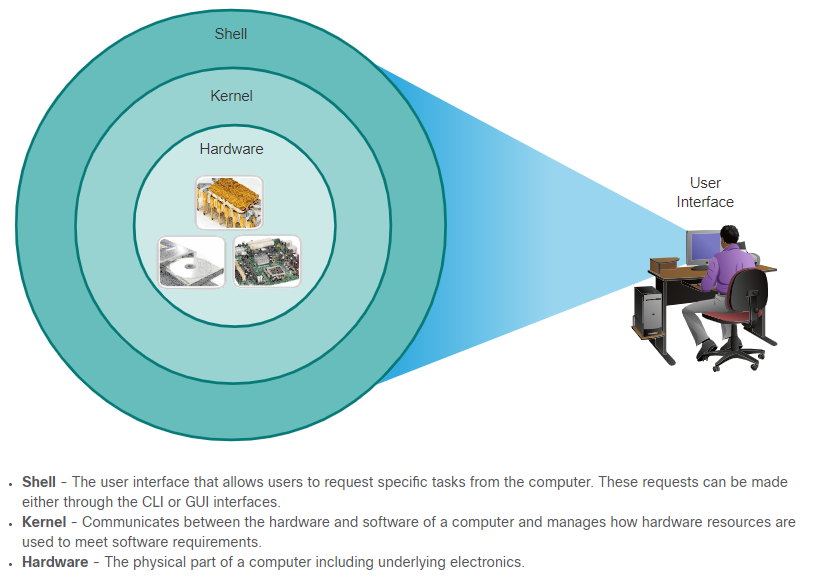 Introduction to Network — 2 Basic Switch & End Devices Configuration