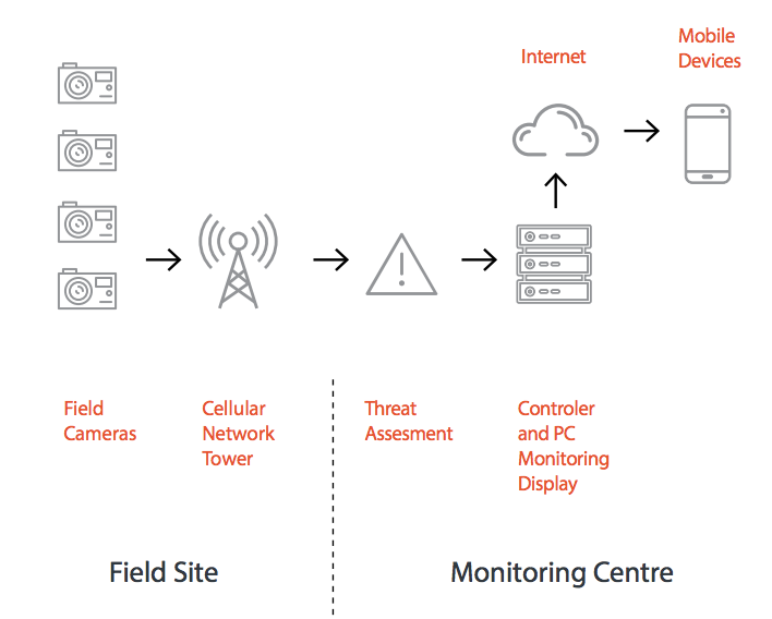 Catching poachers with machine learning by Caleb Kaiser Towards