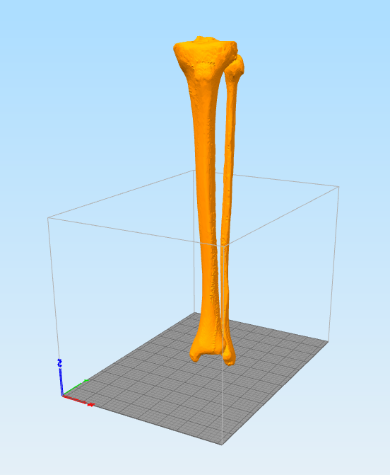 Printr's 3D Printing Guide: Editing and Repairing .stl Files (and Human  Legs) using Netfabb | by Matthew | Medium
