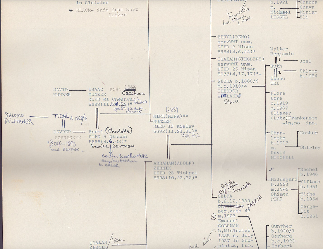The Zernik, Munzer and Related Families | by Neil Rosenstein | Medium