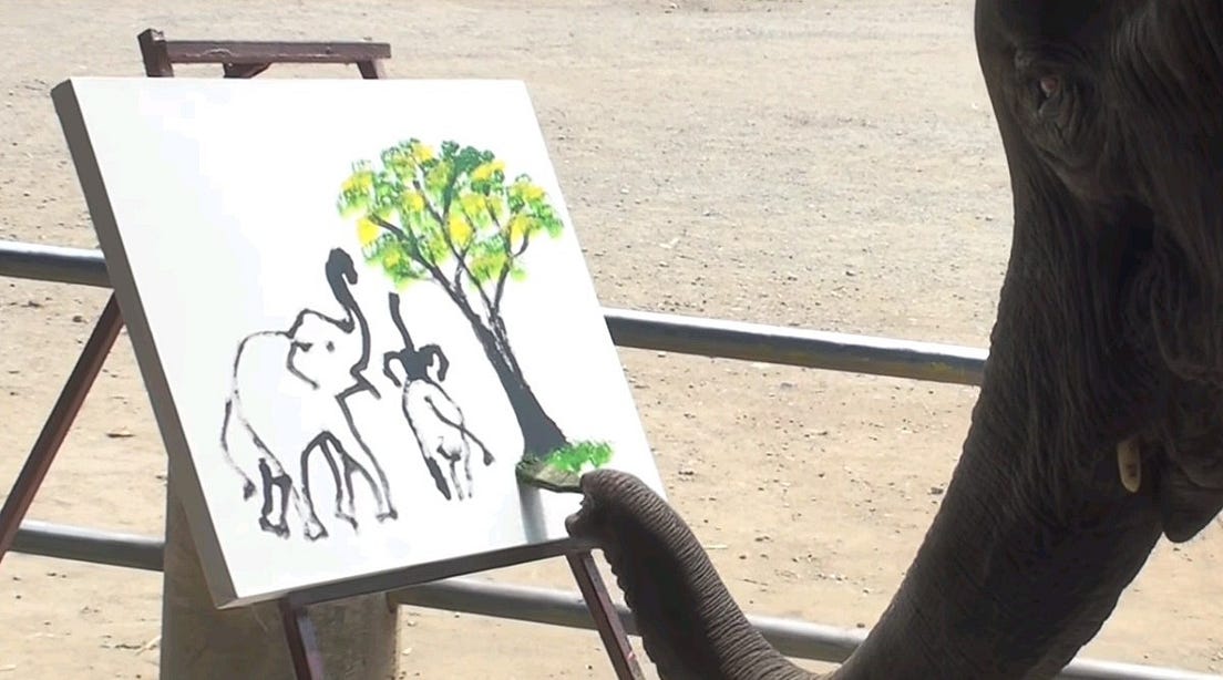 Elephants Can Paint!. Mindblowing animal intelligence by Iselin