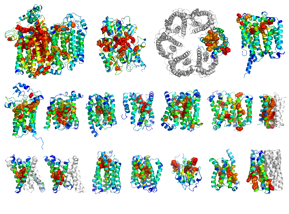 Proteins (3D). A new method can accurately predict the… by eLife Life’s Building Blocks Medium