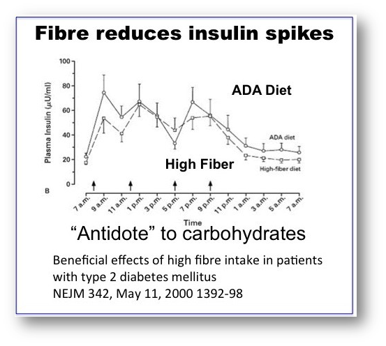 الألياف مضادات الغذاء الألياف مضادات الغذاء By Ibrahim Alalou Medium