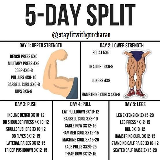 5 Day Split Workout Routine To Gain Muscle & Strength | by Gurcharan Singh  | Fitness And Nutrition Tips | Medium