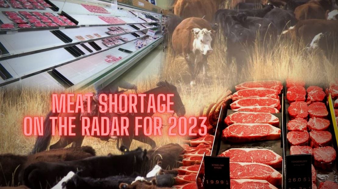 Stock Up Now! Meat Shortage On The Radar For 2023 by Rethinking the