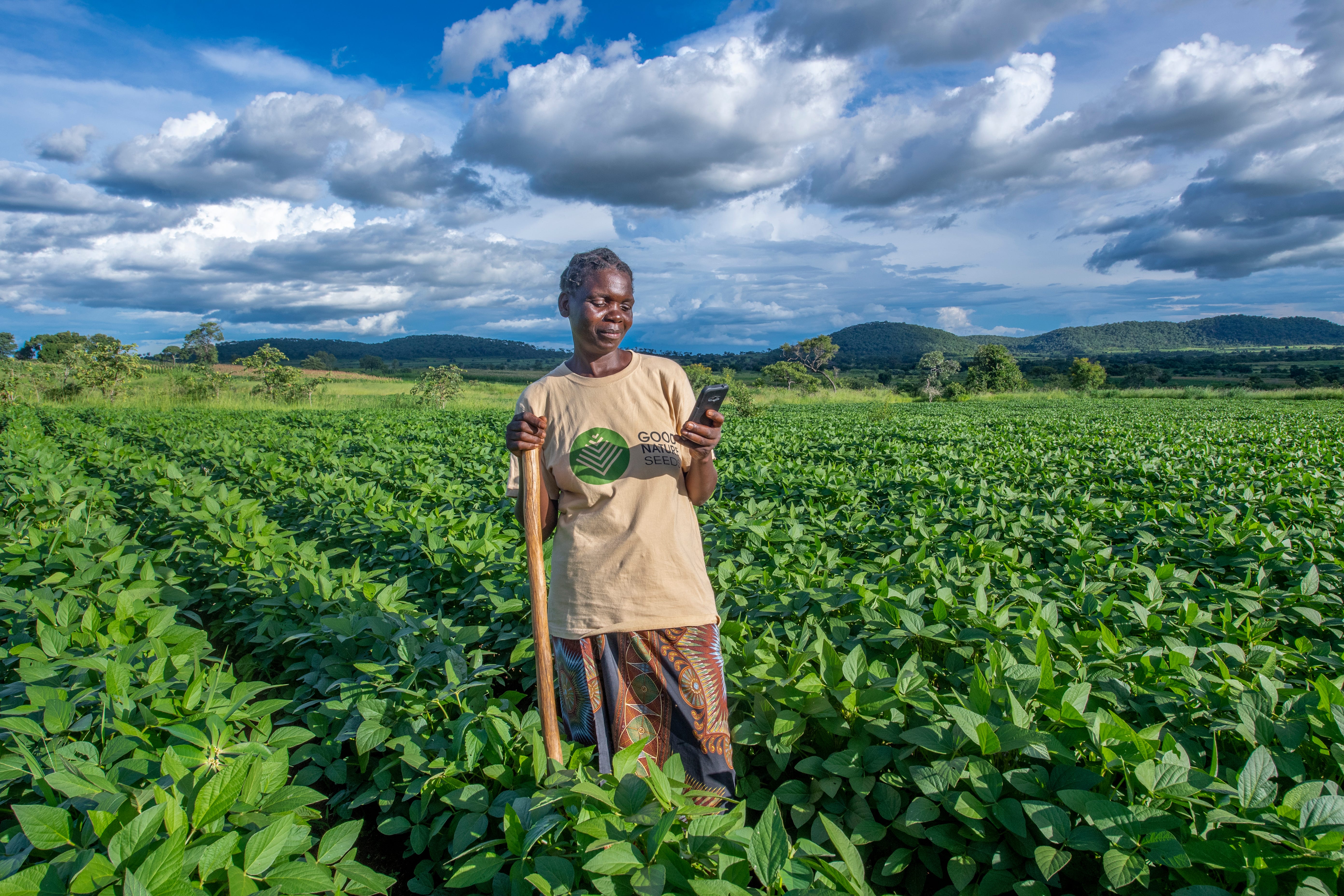 Piloting Digital Financial Services for Smallholder ...